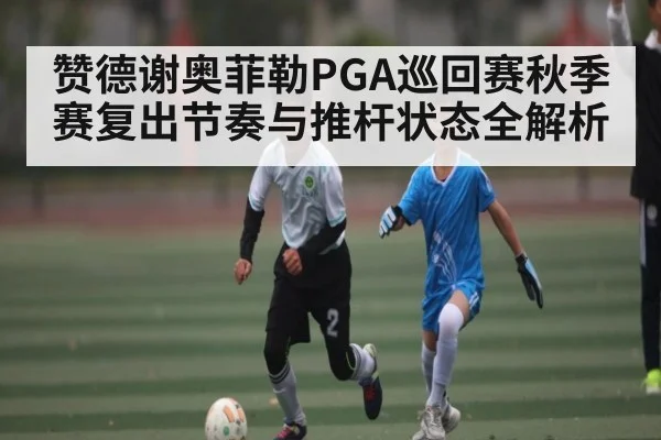 赞德谢奥菲勒PGA巡回赛秋季赛复出节奏与推杆状态全解析